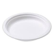 Plastic Round Plate: 260mm