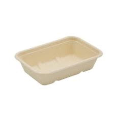 500ML Sugarcane Rectangular container