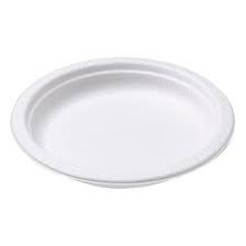 Plastic Plate: 260mm