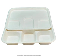 Square 9* 4CP Sugarcane Tray