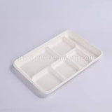 Sugarcane 6 Compartment Meal Tray-Big